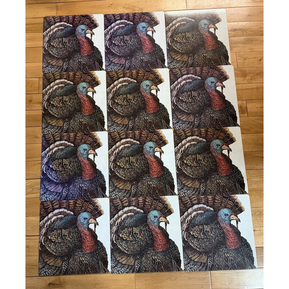 12 Hester Cook Heritage Turkey Hard Placemats Cork Back Thanksgiving Square 14"